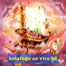 botafogo ao vivo hd